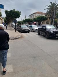 تنظيف-و-بستنة-الجزائر-بوزريعة