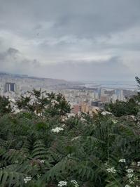 أمن-الجزائر-وسط