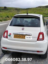 سيارات-fiat-500-2025-dolcevita-mib-الطارف-الجزائر