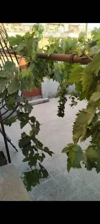 Vente Bungalow F4 Boumerdès Djinet
