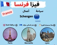 Traitement Dossier France / Belgique/ Allemagne/ Italie/ Hollande