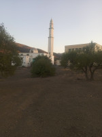 terrain-vente-bouira-el-adjiba-algerie