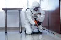 Entreprise  de nettoyage  3D PEST CONTROL dératisation et Désinsectisation
