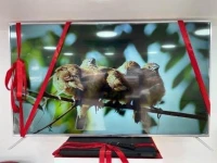 Led telestar 75 pouces smart 4k 