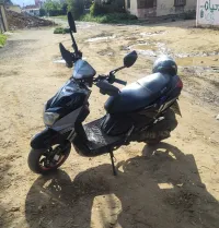 Sam 150 SAM 2018