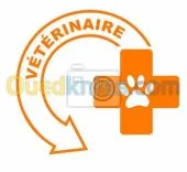 Soin.intervention chirurgical. Vaccins
