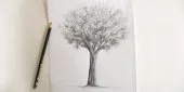 Cours de dessin 