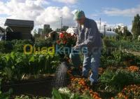 الجزائر-دالي-ابراهيم-تنظيف-و-بستنة-jardinier
