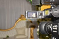 البليدة-الجزائر-بومرداس-باب-الزوار-صورة-و-صوت-camerawoman-photograghe-pro