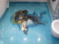 boumerdes-boudouaou-algerie-décoration-aménagement-epoxy-decoration