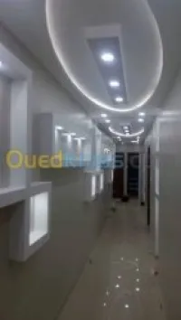 placo platre faux plafond placard ba13