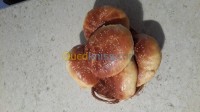 تيبازة-القليعة-الجزائر-فندقة-و-إطعام-قاعات-pain-maison