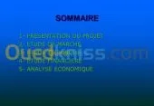 etude technico-economique et credit