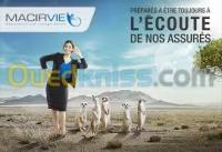 فندقة-و-إطعام-قاعات-assurance-beaulieu-وادي-السمار-الجزائر