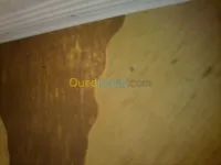 ديكورات ودهانات سورية Hk Decor 