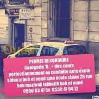 alger-bab-el-oued-algerie-ecoles-formations-cours-prefctionnement