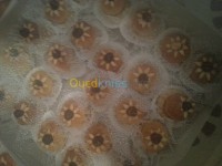 الجزائر-الأبيار-توريد-الطعام-و-حلويات-cuisine