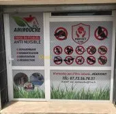 Insecticides professionels