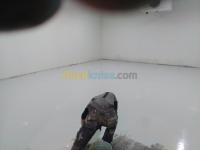 الجزائر-القبة-بناء-و-أشغال-traitement-sol-application-résine-épox