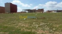 Vente Terrain Saïda Ouled khaled