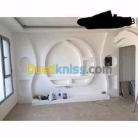 عين-تموشنت-الجزائر-نجارة-و-أثاث-placoplatre