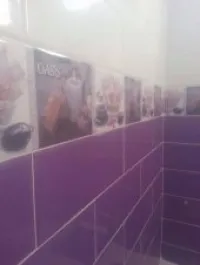 karleur-pvs (plafon plastik)-