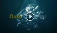 Conception de logo en video