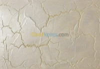 الجزائر-بوزريعة-بناء-و-أشغال-peintre