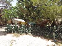 tebessa-algerie-terrain-vente