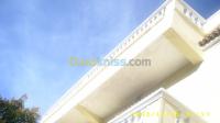 villa-sell-blida-larbaa-algeria