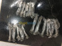 المحرك-و-علبة-السرعة-soupape-tata-manza-عين-مليلة-دار-البيضاء-أم-البواقي-الجزائر