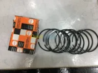 SEGMENT MOTEUR MAHINDRA SCORPIO