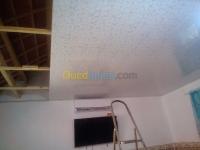 boumerdes-algerie-construction-travaux-installation-faux-plafond-en-pvc