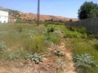 Vente Terrain Agricole Bouira Kadiria