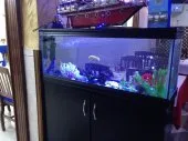 Fabrication Aquarium