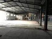Location Hangar Alger Les eucalyptus