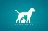 Médecine vétérinaire