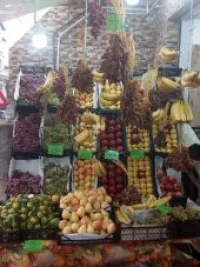 Fruité légumes Oliver