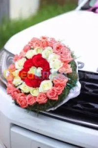  photographe  et camerawomen femme 