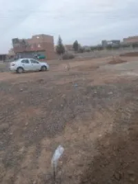 Vente Terrain Tlemcen Maghnia