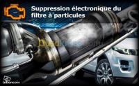 alger-cheraga-algerie-réparation-auto-diagnostic-suppression-fap