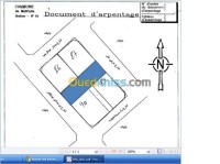 معسكر-الجزائر-أرض-vente-terrain-mascara