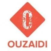 Conception professionnelle de logos