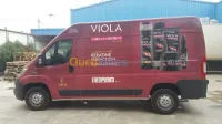 Habillage véhicule