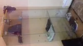 vitrine pour magasin 