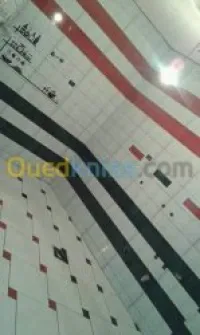 ( Faience + daldesol + carrelage)