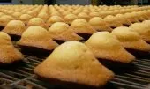 recette madeleine  