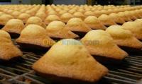 الجزائر-وسط-صناعة-و-تصنيع-recette-madeleine