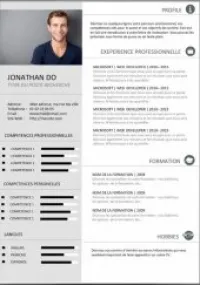 CV professionnel personnalise