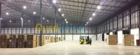 Location Hangar Boumerdes Hammedi